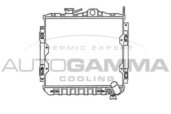 Radiatorius, variklio aušinimas AUTOGAMMA 100568