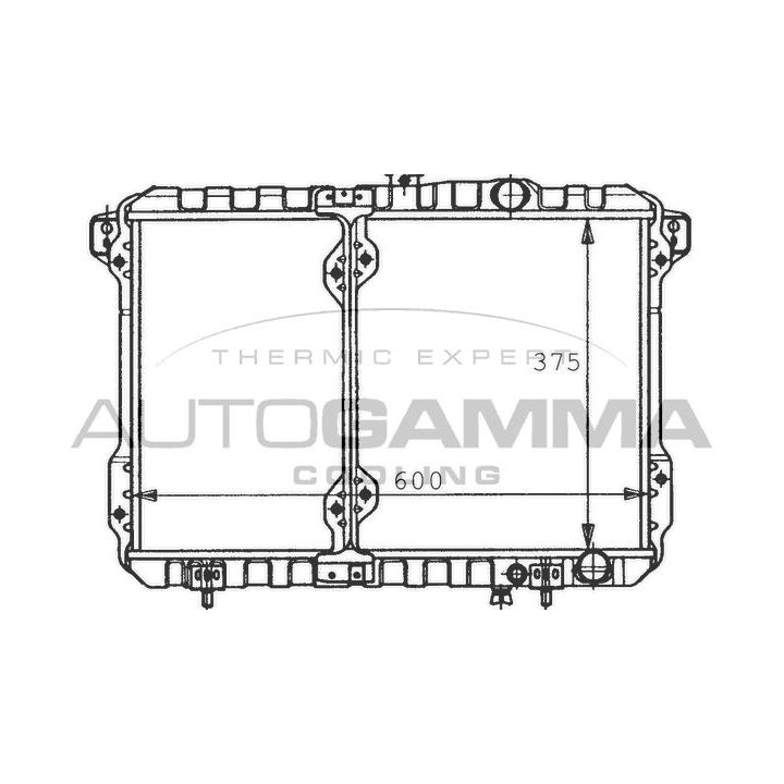 Radiatorius, variklio aušinimas AUTOGAMMA 100581