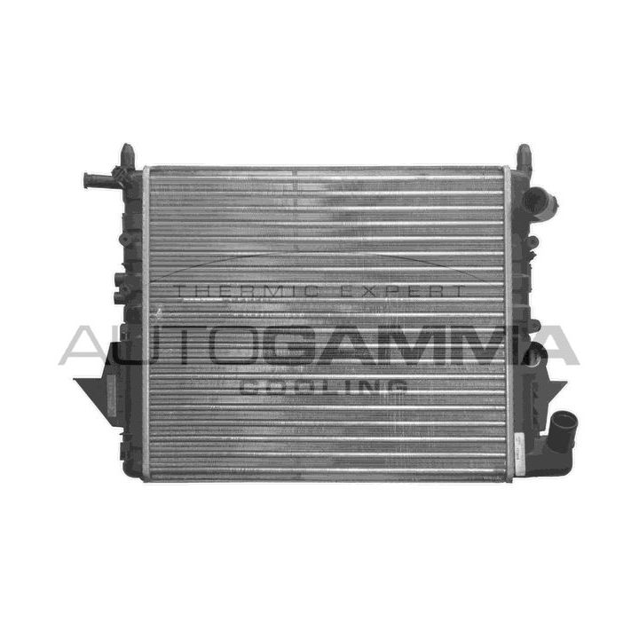 Radiatorius, variklio aušinimas AUTOGAMMA 100917