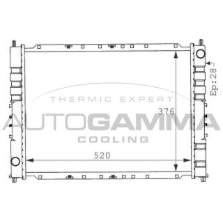 Radiatorius, variklio aušinimas AUTOGAMMA 100925