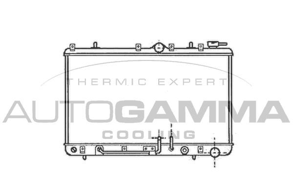 Radiatorius, variklio aušinimas AUTOGAMMA 101204
