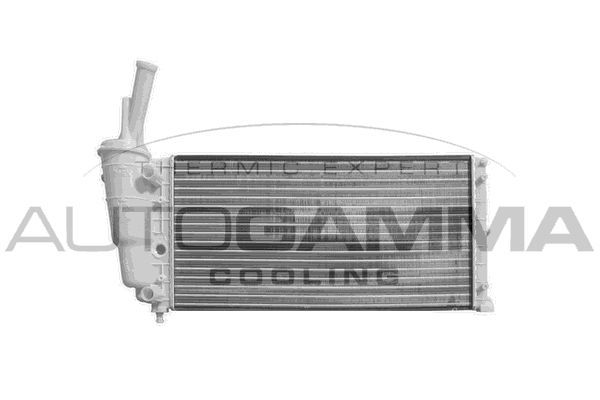 Radiatorius, variklio aušinimas AUTOGAMMA 101990