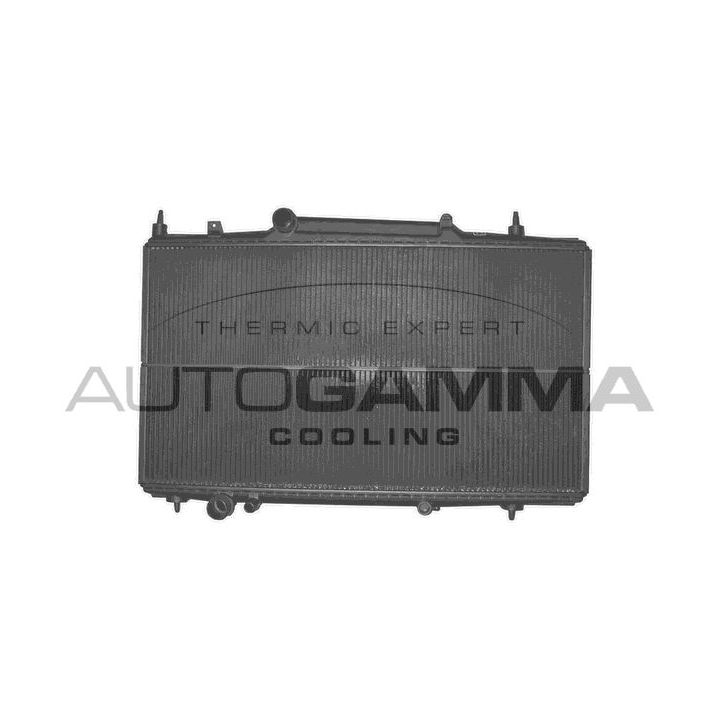 Radiatorius, variklio aušinimas AUTOGAMMA 102276