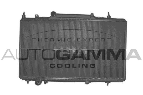 Radiatorius, variklio aušinimas AUTOGAMMA 102276