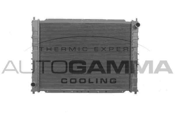 Radiatorius, variklio aušinimas AUTOGAMMA 102296