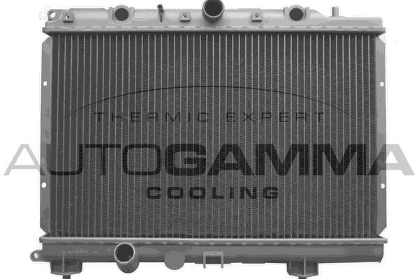 Radiatorius, variklio aušinimas AUTOGAMMA 102943