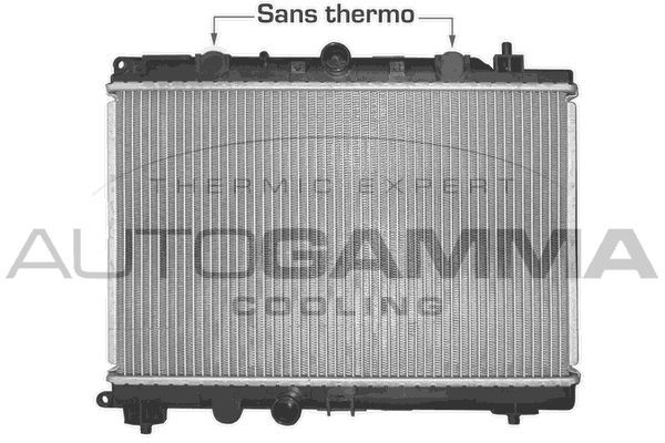 Radiatorius, variklio aušinimas AUTOGAMMA 102945