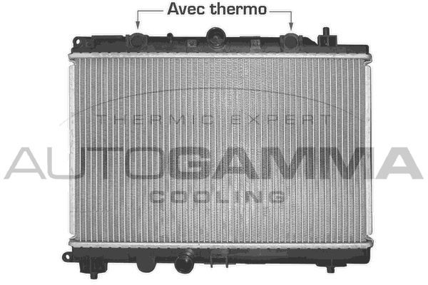 Radiatorius, variklio aušinimas AUTOGAMMA 102946