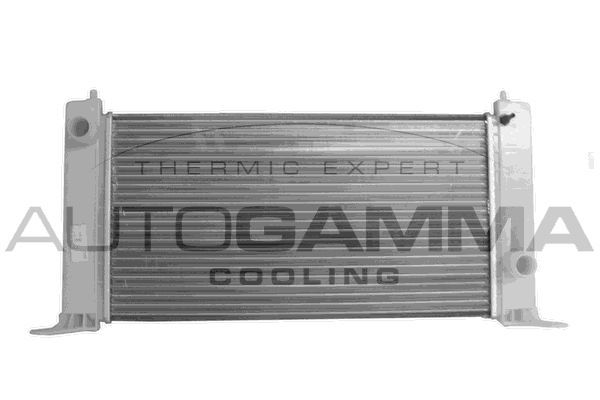 Radiatorius, variklio aušinimas AUTOGAMMA 103053