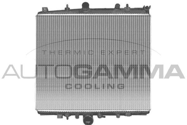 Radiatorius, variklio aušinimas AUTOGAMMA 103167