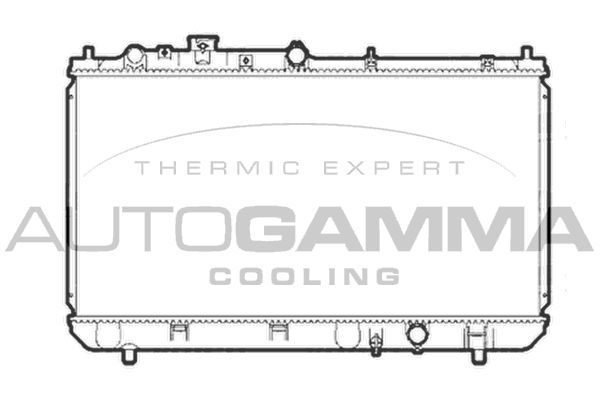 Radiatorius, variklio aušinimas AUTOGAMMA 103187