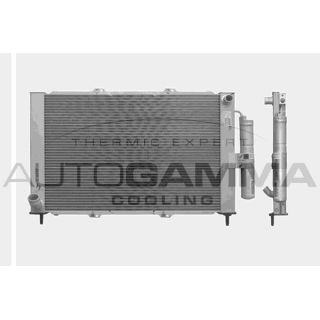 Radiatorius, variklio aušinimas AUTOGAMMA 103353