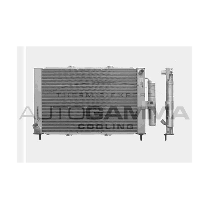 Radiatorius, variklio aušinimas AUTOGAMMA 103353