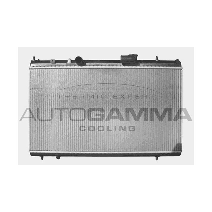 Radiatorius, variklio aušinimas AUTOGAMMA 103570