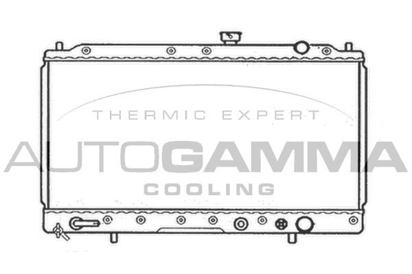 Radiatorius, variklio aušinimas AUTOGAMMA 103959