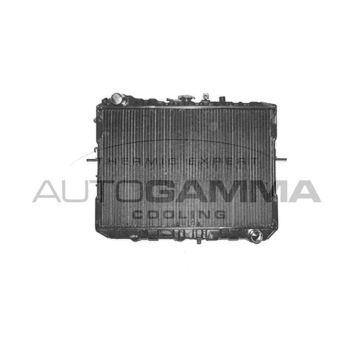 Radiatorius, variklio aušinimas AUTOGAMMA 104151