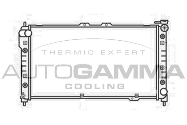 Radiatorius, variklio aušinimas AUTOGAMMA 104176