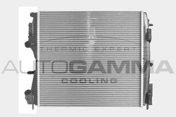 Radiatorius, variklio aušinimas AUTOGAMMA 104558