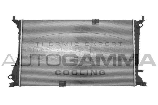 Radiatorius, variklio aušinimas AUTOGAMMA 105579