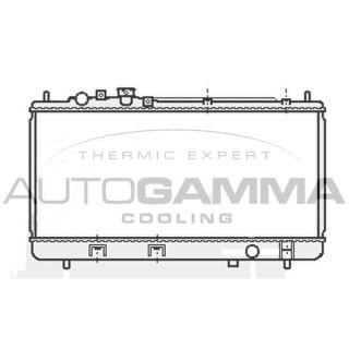 Radiatorius, variklio aušinimas AUTOGAMMA 107038