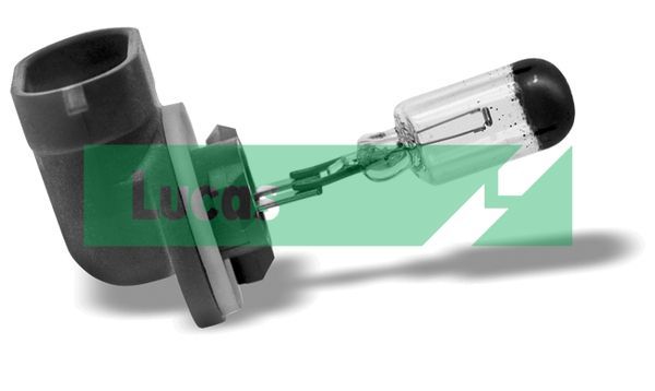 Lemputė, rūko žibintas LUCAS LLB881