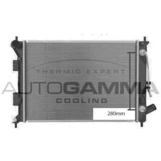 Radiatorius, variklio aušinimas AUTOGAMMA 107954