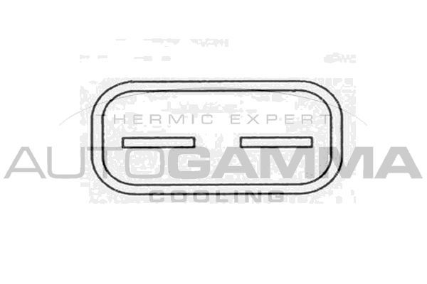 Ventiliatorius, radiatoriaus AUTOGAMMA GA220620