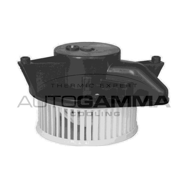 Vidaus pūtiklis AUTOGAMMA GA20028