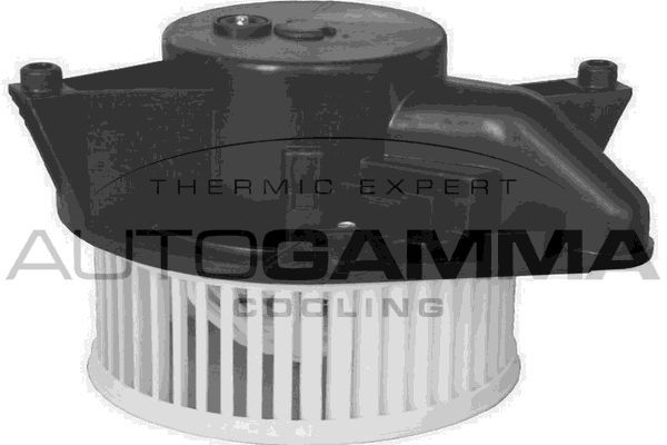 Vidaus pūtiklis AUTOGAMMA GA20028