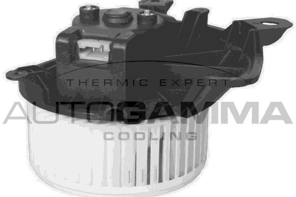 Vidaus pūtiklis AUTOGAMMA GA20029