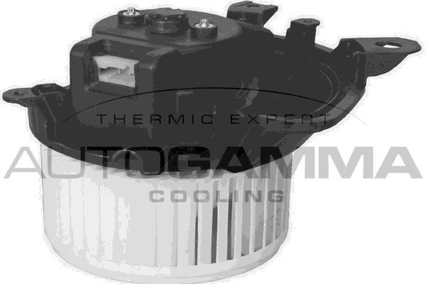 Vidaus pūtiklis AUTOGAMMA GA20032