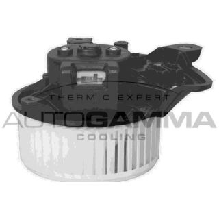 Vidaus pūtiklis AUTOGAMMA GA20033