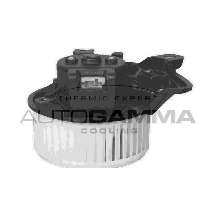 Vidaus pūtiklis AUTOGAMMA GA20033