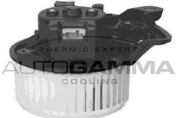 Vidaus pūtiklis AUTOGAMMA GA20033