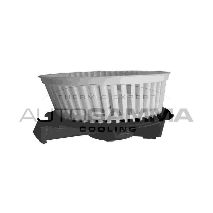 Vidaus pūtiklis AUTOGAMMA GA20037