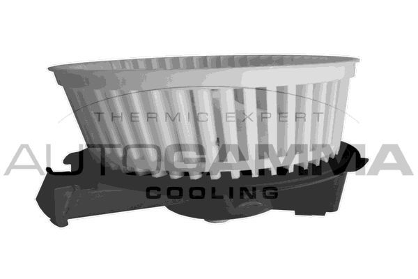 Vidaus pūtiklis AUTOGAMMA GA20037