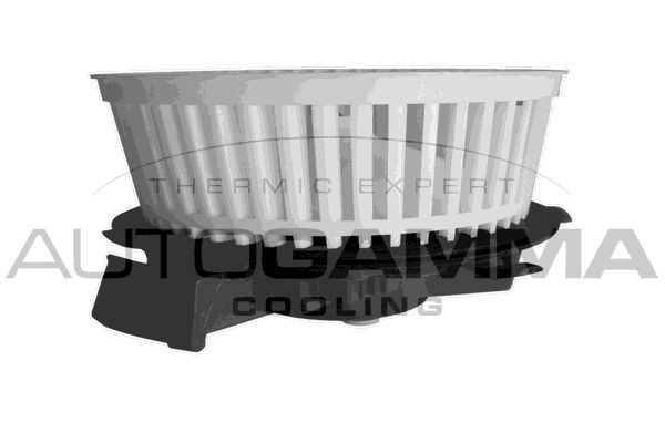 Vidaus pūtiklis AUTOGAMMA GA20039