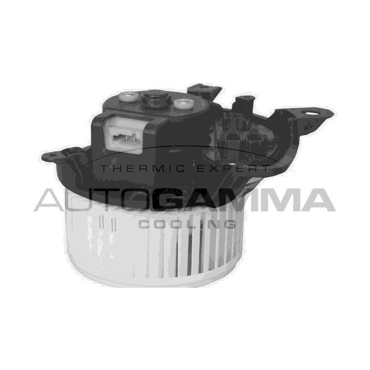 Vidaus pūtiklis AUTOGAMMA GA20045