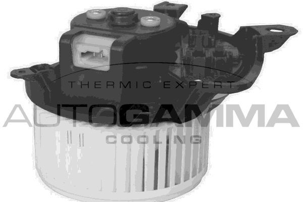 Vidaus pūtiklis AUTOGAMMA GA20045