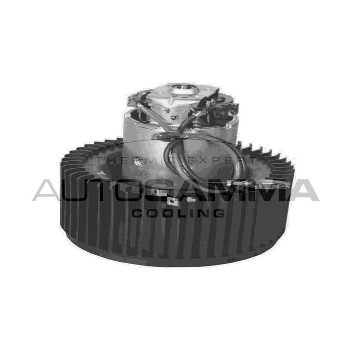 Vidaus pūtiklis AUTOGAMMA GA20046