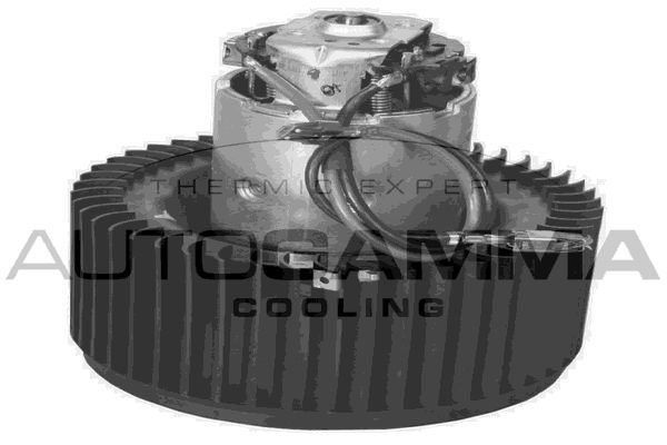 Vidaus pūtiklis AUTOGAMMA GA20046