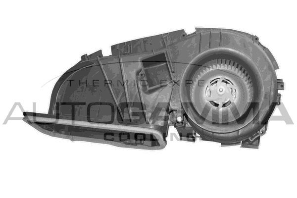 Vidaus pūtiklis AUTOGAMMA GA20048