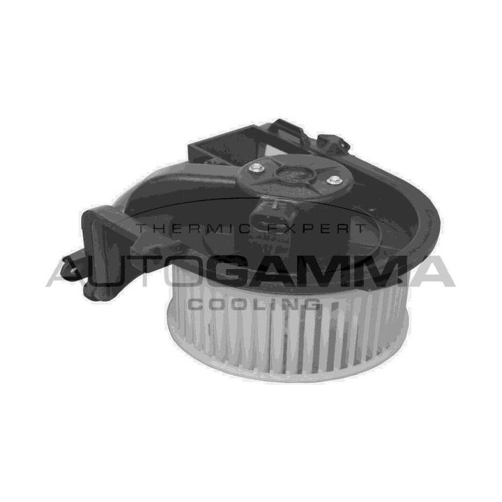 Vidaus pūtiklis AUTOGAMMA GA20049