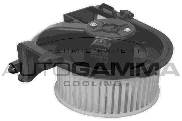 Vidaus pūtiklis AUTOGAMMA GA20049