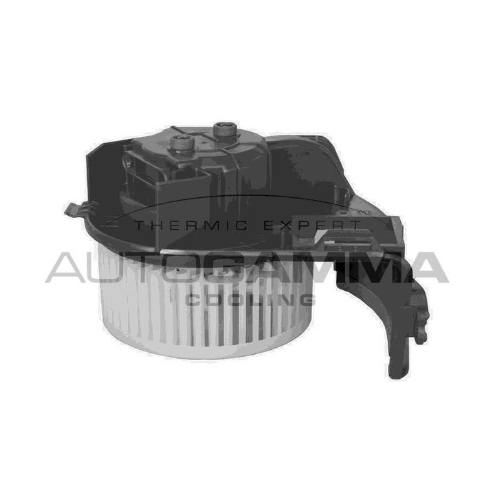 Vidaus pūtiklis AUTOGAMMA GA20053