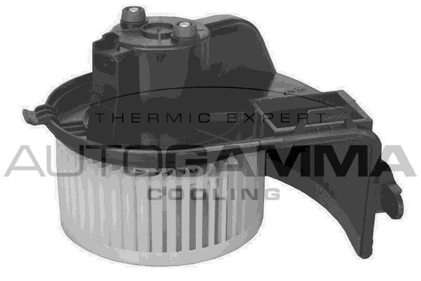 Vidaus pūtiklis AUTOGAMMA GA20054