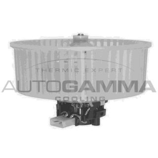 Vidaus pūtiklis AUTOGAMMA GA20055