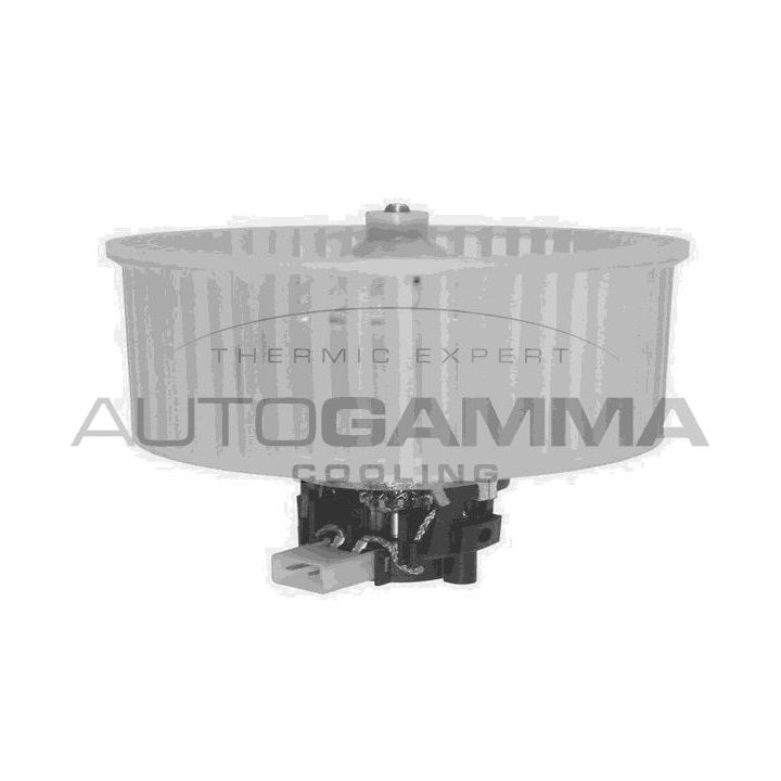 Vidaus pūtiklis AUTOGAMMA GA20055