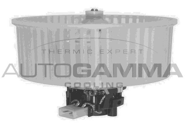 Vidaus pūtiklis AUTOGAMMA GA20055