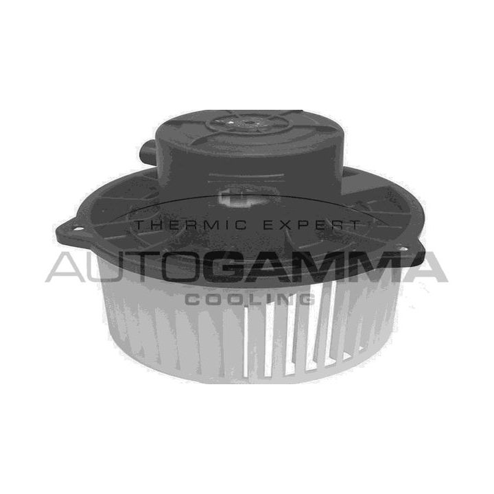 Vidaus pūtiklis AUTOGAMMA GA20058